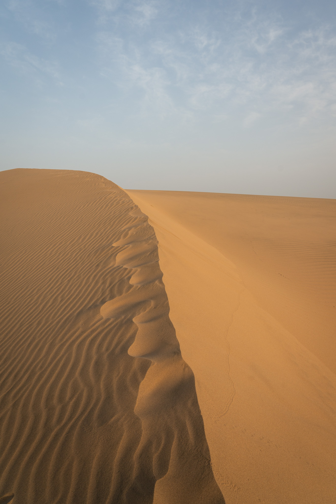 Portfolio Image 22