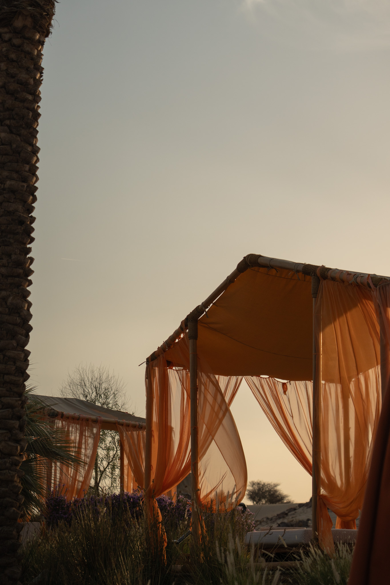 Hotel image 29